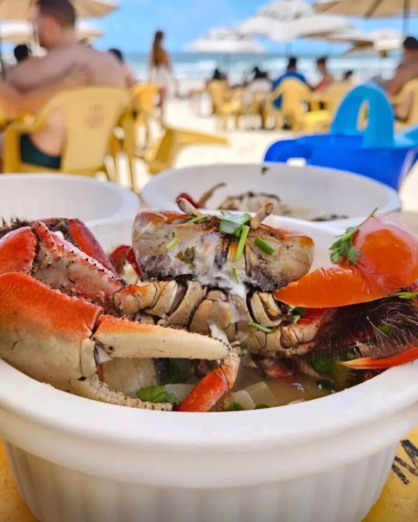 Sabores de Fortaleza: Onde Comer Bem na Beira-Mar e na Praia do Futuro